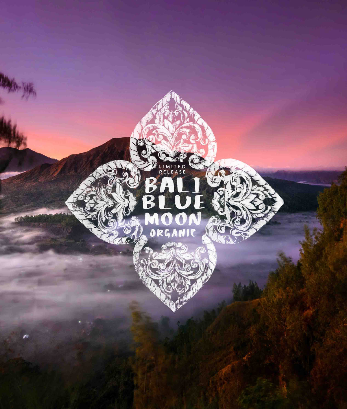 Bali Blue Moon Organic