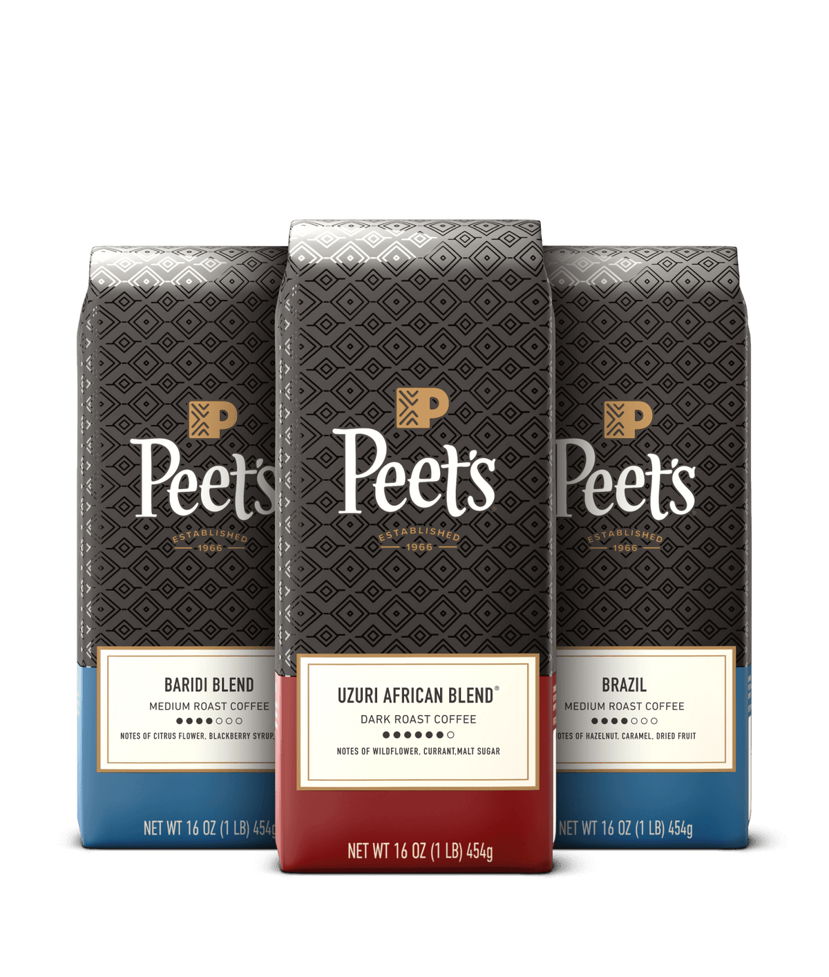 Cold Brew Bundle