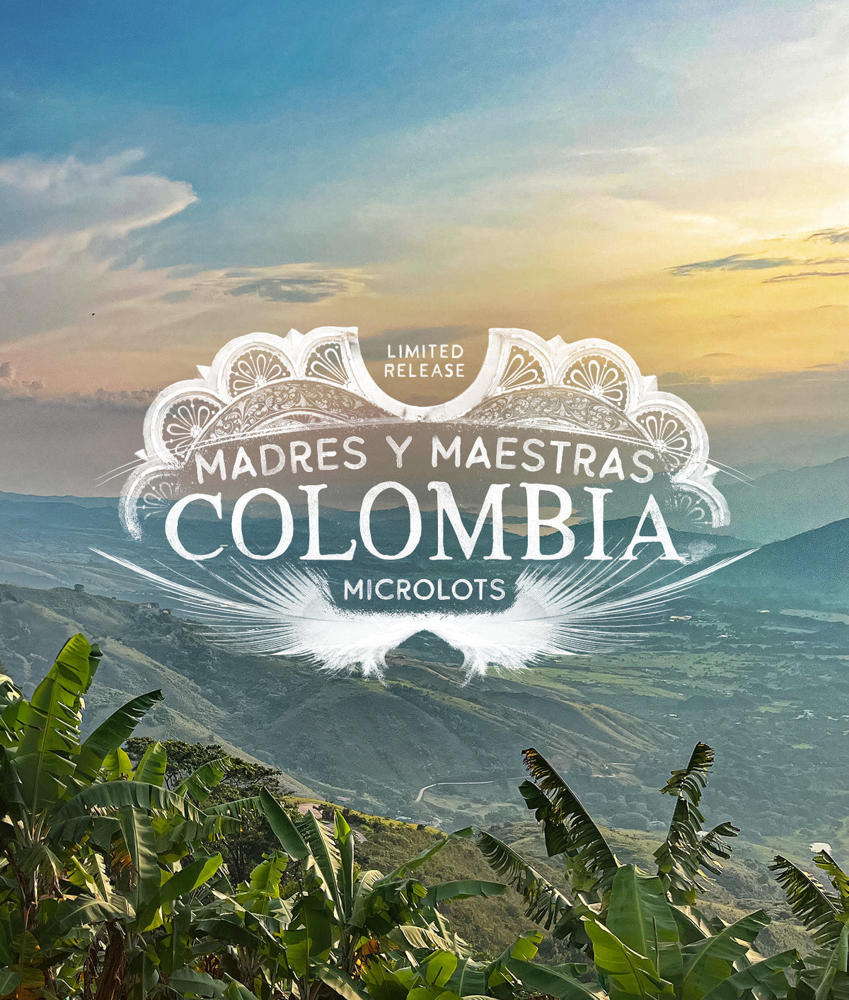 Madres Y Maestras Colombia Microlots